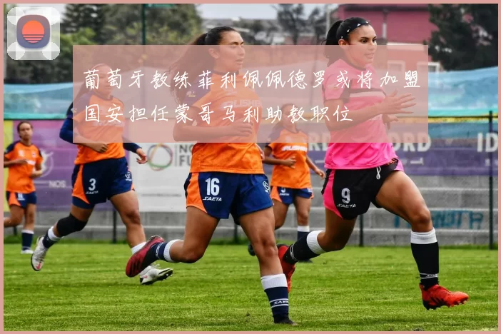葡萄牙教练菲利佩佩德罗或将加盟国安担任蒙哥马利助教职位
